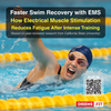 The Secret to Faster Recovery After Intense Swimming: Insights from California State University Research